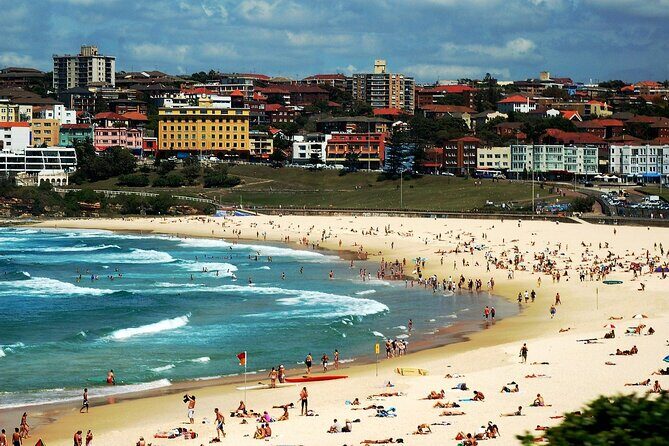 Blue Mountains | Koalas, Kangaroos & Bondi Beach Private Tour - Who Will Love This Tour?