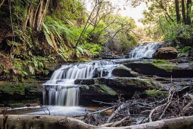 Blue Mountains Luxury Tour from Sydney - Frequently Asked Questions