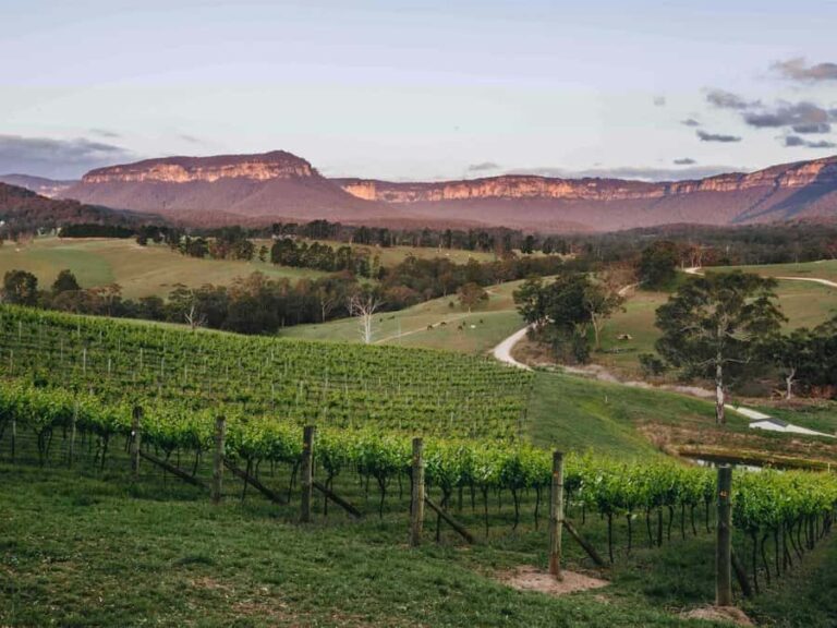 Blue Mountains: Megalong Valley Wine Tasting & Lunch - Why This Tour Works Well
