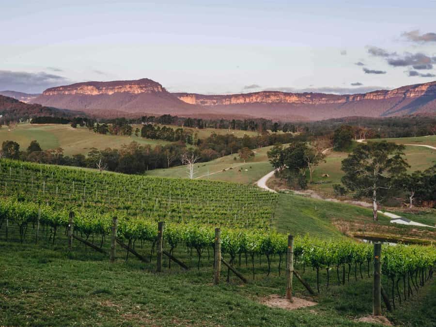 Blue Mountains: Megalong Valley Wine Tasting & Lunch - Why This Tour Works Well