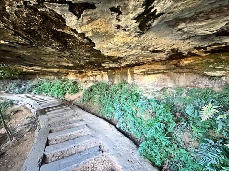 Blue Mountains: Overcliff-Undercliff Guided Hike - The Practicalities: Logistics and Value