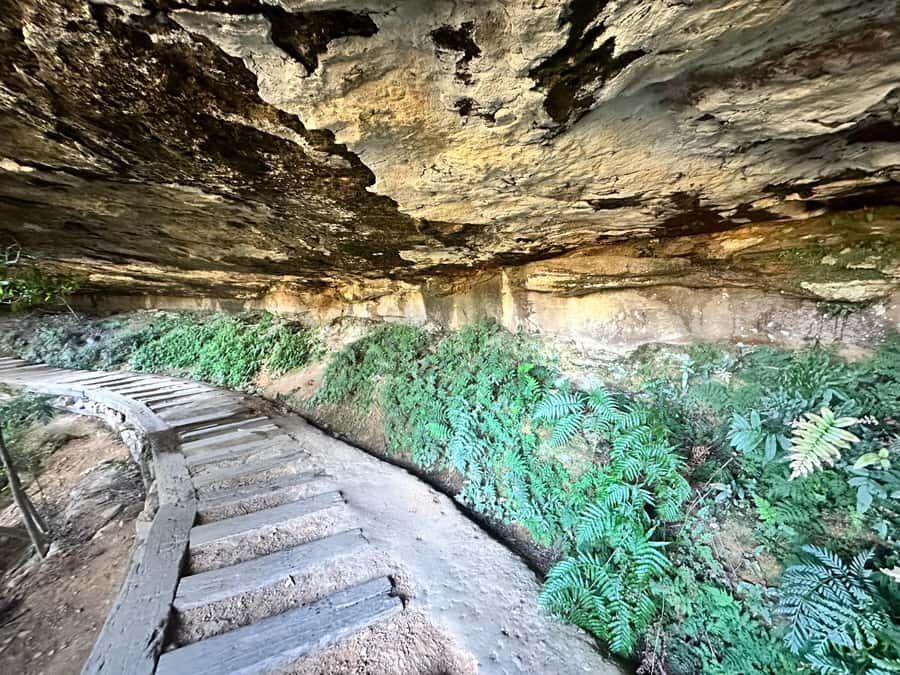 Blue Mountains: Overcliff-Undercliff Guided Hike - The Practicalities: Logistics and Value