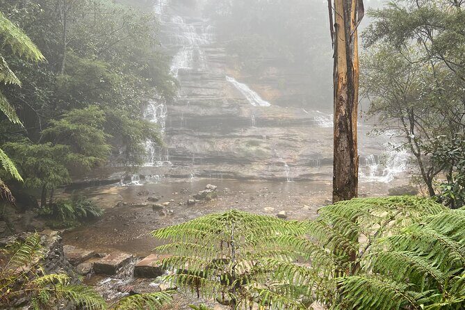 Blue Mountains Private Group Day Tour from Sydney - Who Would Love This Tour?