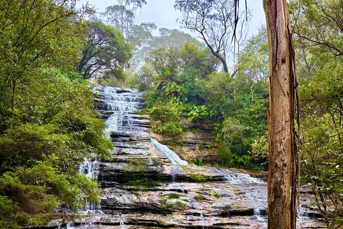 Blue Mountains Private Sightseeing Day Tours from Sydney - Scenic World: Views and Adventure