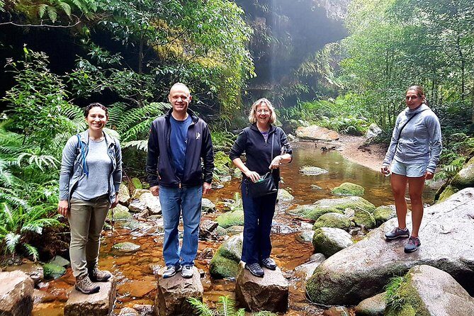 Blue Mountains Private Tour including Wildlife Park - What Travelers Say: Authentic Feedback