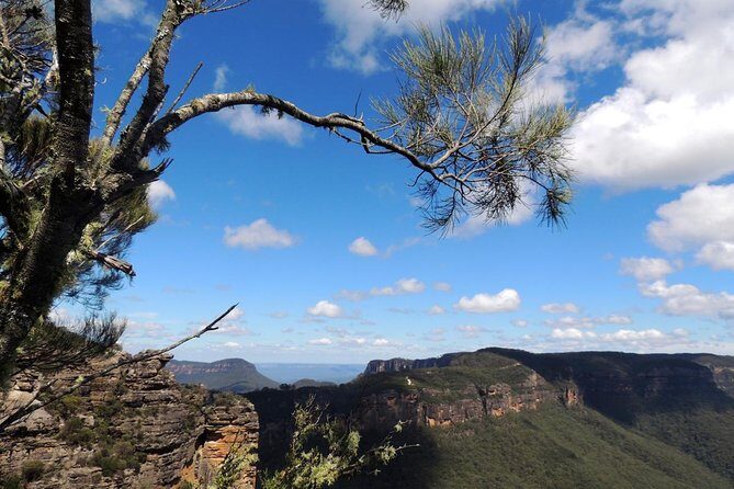 Blue Mountains Small-Group Insider Tour from Sydney - Scenic Lookouts and Iconic Landmarks