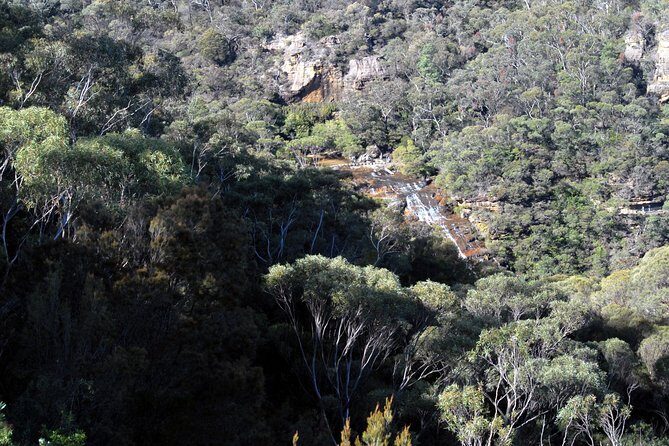 Blue Mountains Tour - Highlights - Scenic World: Railways and Rides
