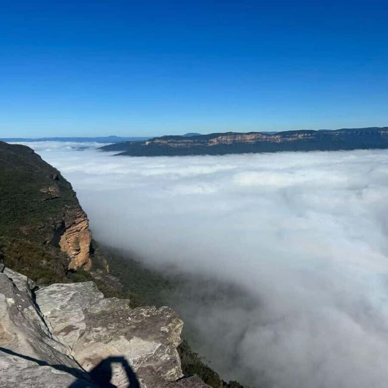 Blue Mountains Tour, Katoomba Falls & Cockatoos Small Group - Final Thoughts: Is This Tour for You?