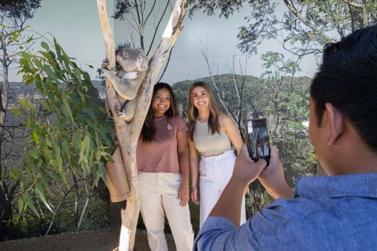 Blue Mountains Tour w/Lunch: Scenic World, Zoo & Koala Photo - Transport, Timing, and Value