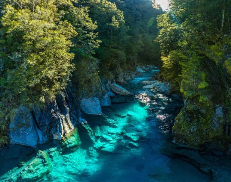 Blue Pools & Makarora Day Walk - What Makes This Tour Stand Out?