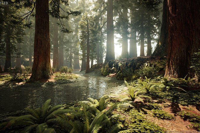 Blue Springs, Redwood Forest, Huka Falls Private tour - The Redwoods in Rotorua — Jurassic Vibes