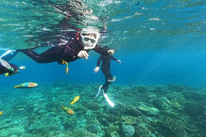 Boat Snorkeling Trip 1 Round Minna, Sesoko , Motobu Okinawa - Why Youll Love This Snorkeling Trip