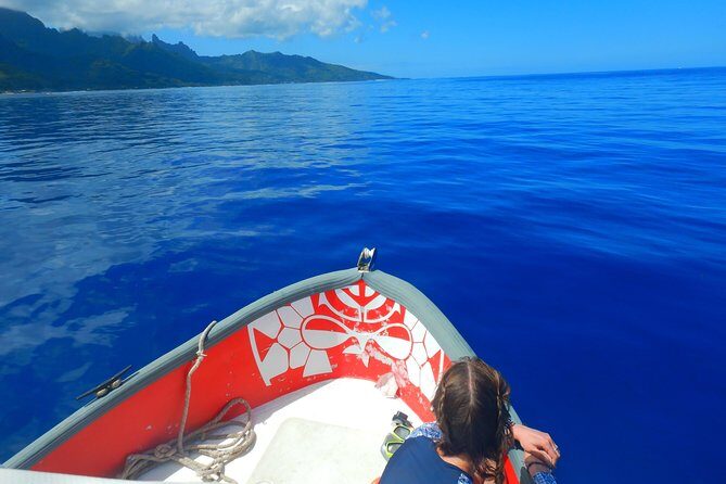 Boat tour 1/2 day Excursion in the lagoon of Moorea - Overview of the Tour Experience