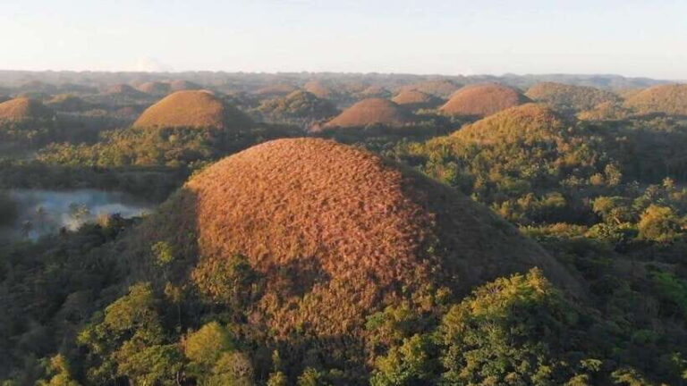 Bohol: Chocolate Hills, Loboc River Cruise, and Buffet Lunch - The Practicalities: What’s Included and What’s Not