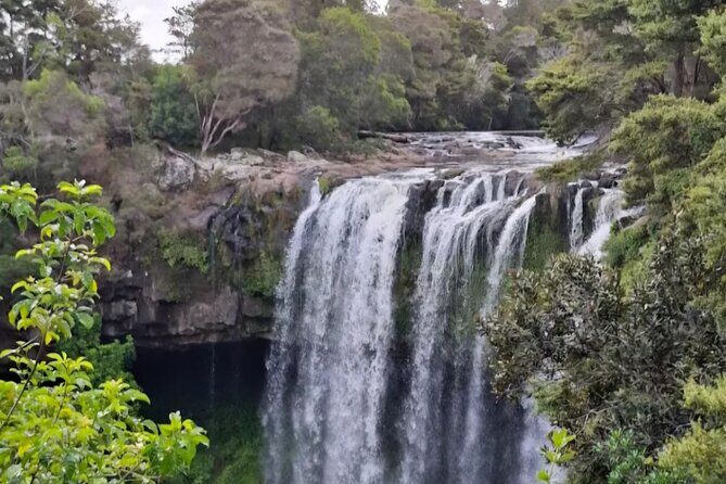 BOI Luxury Indulgence Waterfalls Heritage Wine and Chocolate - The Experience: Why It Matters