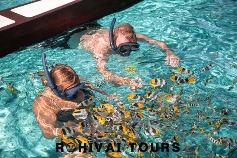 Bora Bora: 1/2 day lagoon safari - Shared tour - Exploring the Tour in Detail