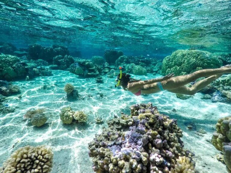 Bora Bora: 3.5-Hour Lagoon Boat Tour with Snorkeling - What to Expect and Practical Details
