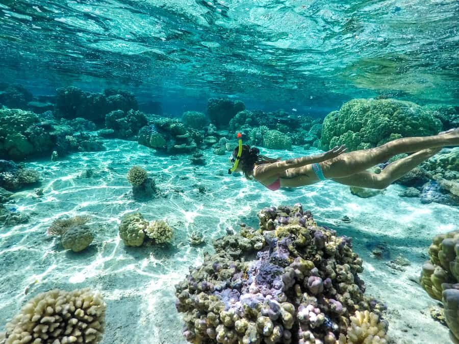 Bora Bora: 3.5-Hour Lagoon Boat Tour with Snorkeling - What to Expect and Practical Details