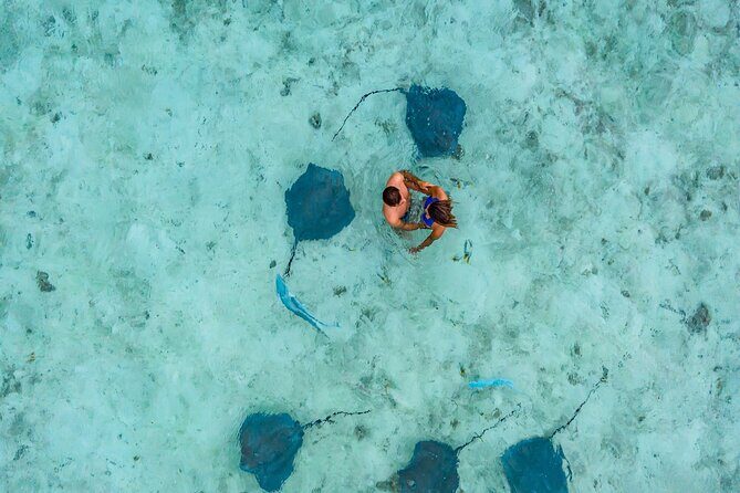 Bora Bora adventure Private Combo Jet Ski and Eco Sharks Snorkel - What Past Travelers Say