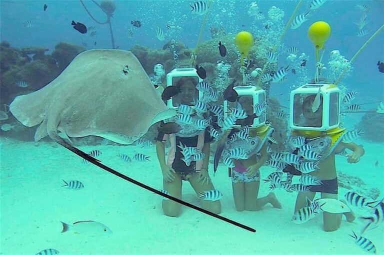 Bora Bora: Aquasafari Helmet Dive & Coral Garden Tour - Who Should Consider This Tour?