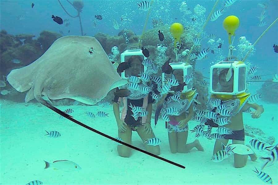 Bora Bora: Aquasafari Helmet Dive & Coral Garden Tour - Who Should Consider This Tour?
