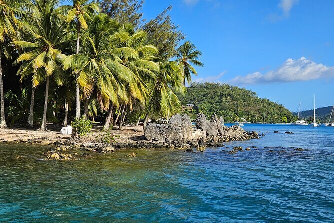 Bora Bora Complete tour of the lagoon in 2H - Authentic Insights from Travelers