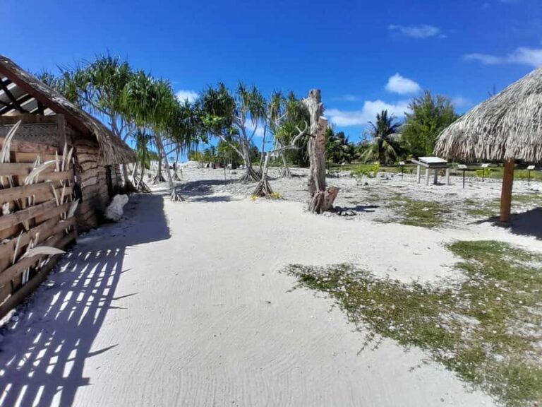 Bora Bora: Full Day in a Traditional Canoe in the Lagoon - Exploring the Details of the Bora Bora Canoe Tour