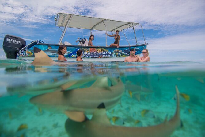 Bora Bora Full Day Snorkeling with Lunch - The Sum Up: Who Will Love This Tour?