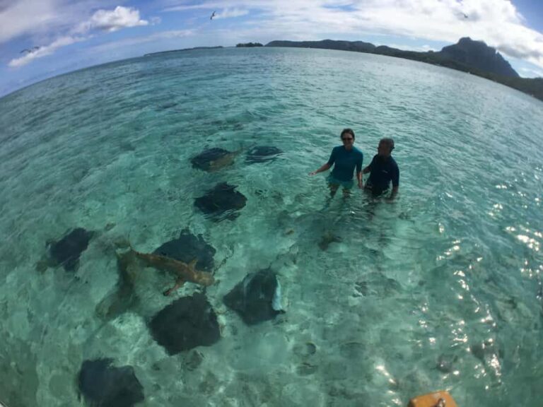 Bora Bora: Half-Day Traditional Canoe Ride in the Lagoon - What’s Included and Practical Details