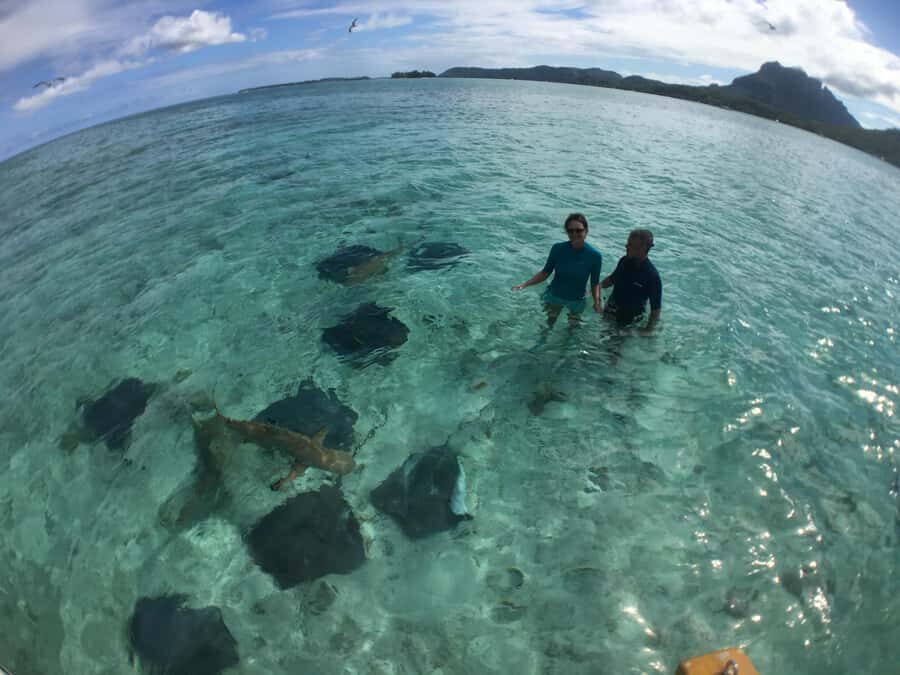 Bora Bora: Half-Day Traditional Canoe Ride in the Lagoon - What’s Included and Practical Details