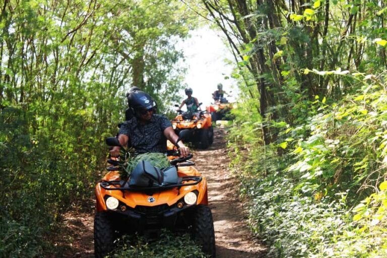 Bora Bora: Island Tour and Mountains Getaway by Quad Bike - What You’ll Love