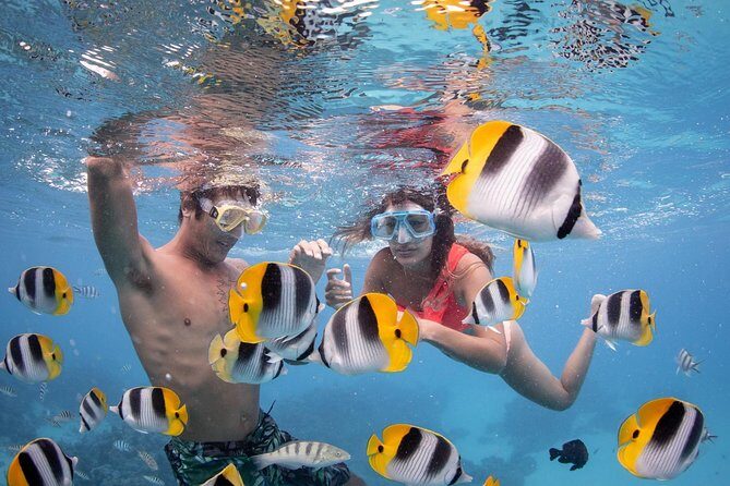 Bora Bora Jet Ski Tour, & Eco Shark / Ray Snorkel Cruise - Authentic Experiences Backed by Guest Reviews