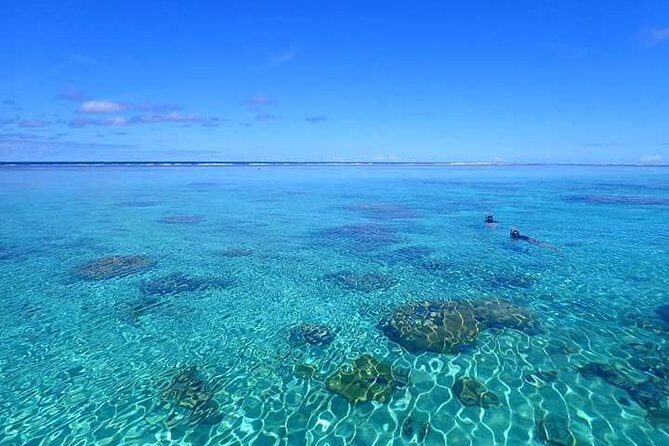 Bora Bora: Luxury Private Half Day Snorkeling Tour - The Sum Up