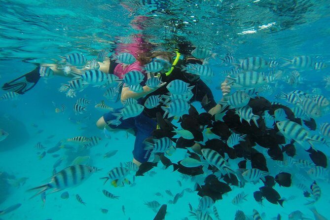 Bora Bora Private Lagoon Tours - Practical Tips for Booking & Enjoying the Tour