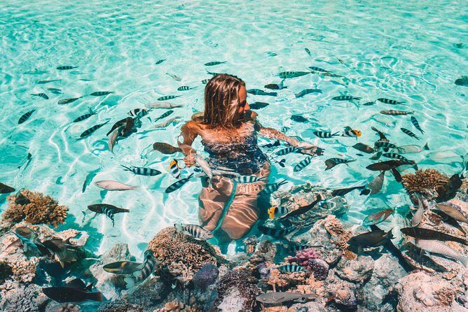 Bora Bora Snorkel Cruise by Polynesian Outrigger Canoe with BBQ Island Lunch - The Itinerary: Breaking Down the Highlights