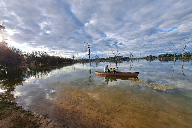 Boshack Farm - Animal, Wildlife, Stargazing Nature Aussie culture - What to Expect at Each Stop