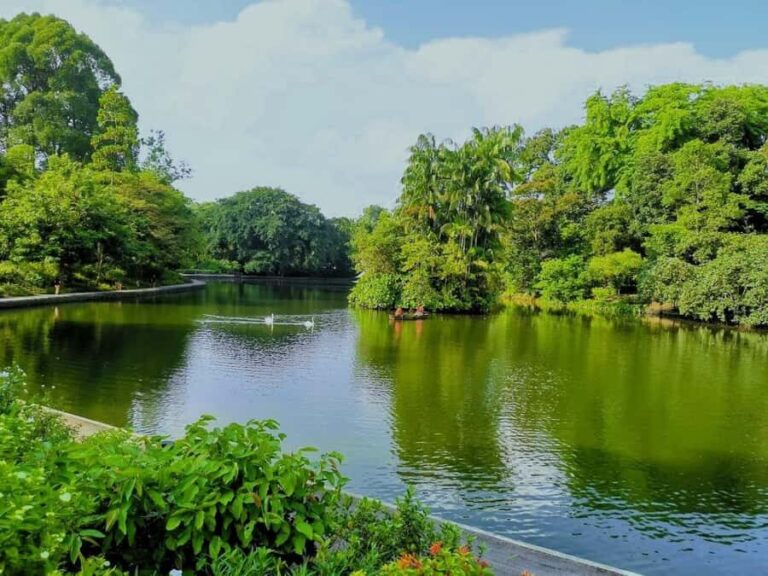 Botanic Gardens & Tiong Bahru Walking Tour with Breakfast - Sunrise at the Singapore Botanic Gardens