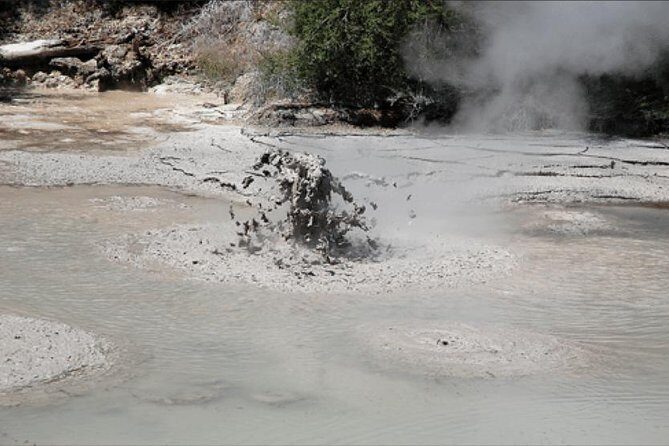 Boutique tour , Mt Maunganui, NZ farm, Rotorua lakes/geothermal - The Practicalities: Transportation, Duration, and Budget