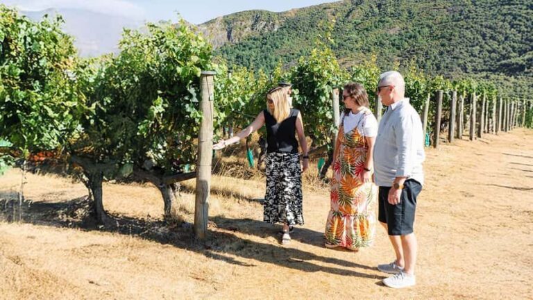 Boutique Winery Half-Day Tour & Vineyard Platter-Style Lunch - Itinerary Breakdown: What to Expect