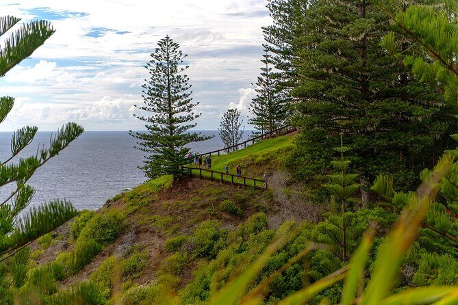Breakfast Bushwalk in Norfolk Island - Who Will Appreciate This Experience?