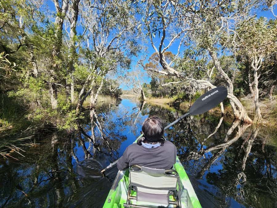 Bribie Island: 4WD, Kayak, and WWII Bunker Tour - What Makes This Tour Stand Out