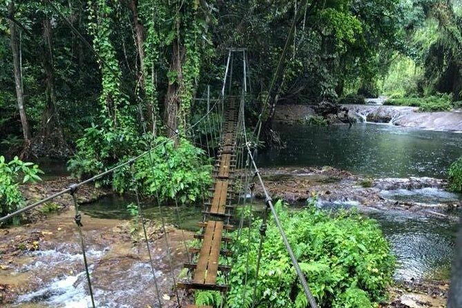 Bridges of Eden with Yumi Tours - The Waterfall Stop