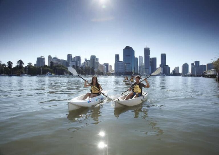 Brisbane: 2-Hour Kayak Hire on Brisbane River - What the Experience Looks Like