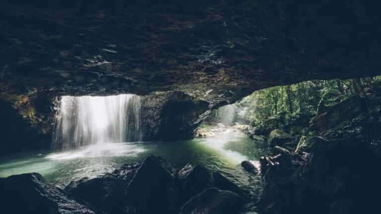 Brisbane: 6 Waterfalls, Koalas & Natural Bridge Day Tour - Transportation and Timing