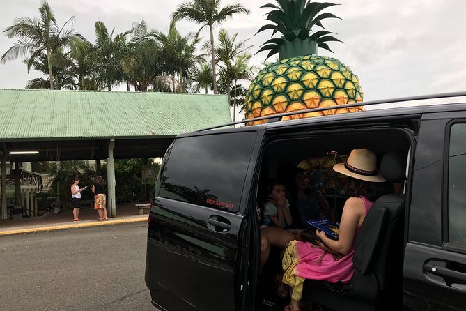 Brisbane Airport to Noosa Private Transfer for 1-5 people - Making the Most of Your Transfer