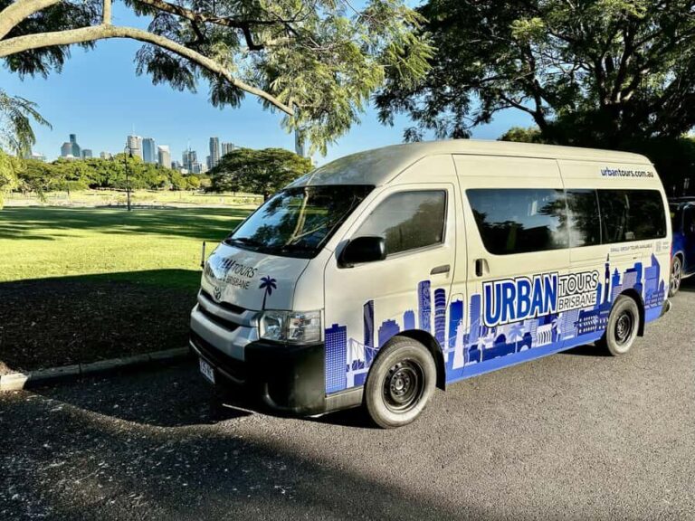 Brisbane Bus Tour: City highlights & Mt Coot-tha Lookout - The Experience: What’s Included and How It Feels