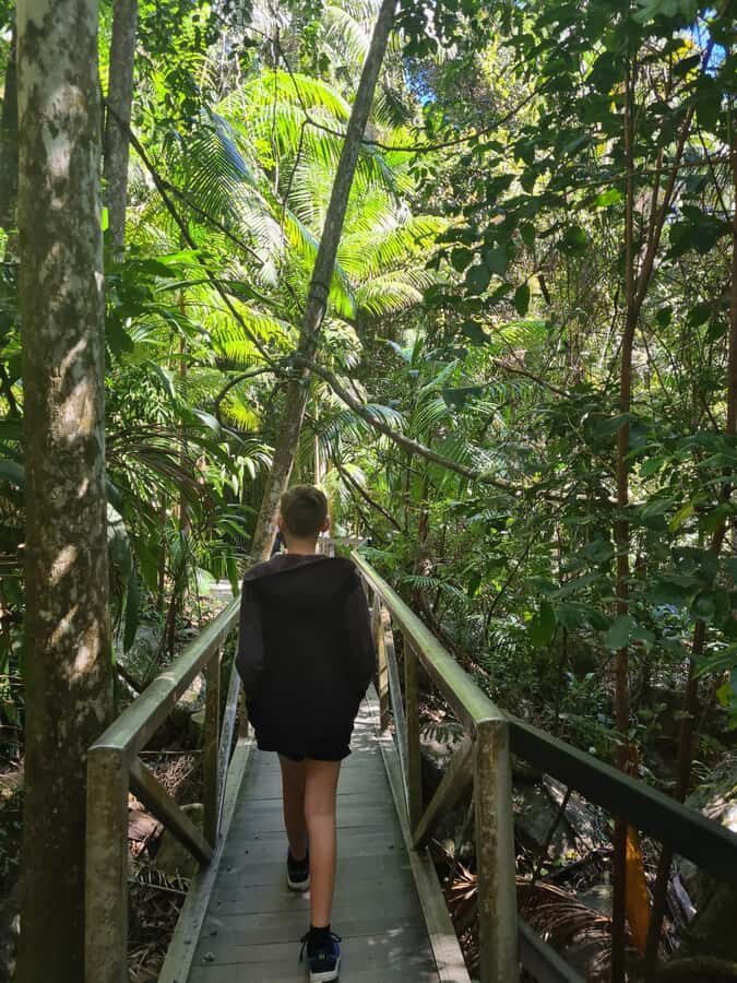 Brisbane Departure : Explore Tamborine Mountain Day Tour - What Travelers Say About This Tour