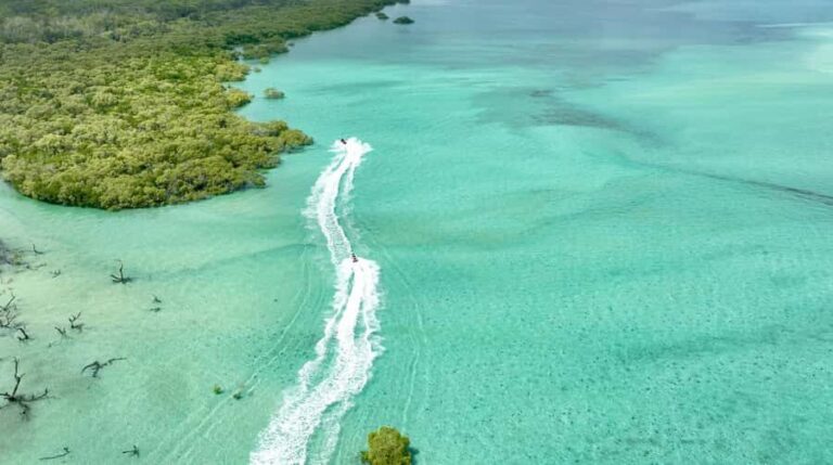Brisbane: Half-Day Jetski Adventure to Moreton Bay Islands - What the Experience Looks and Feels Like