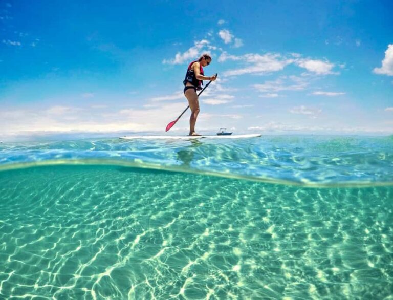 Brisbane: Moreton Island Return Ferry & Adventure Day Pass - The Itinerary and What to Expect
