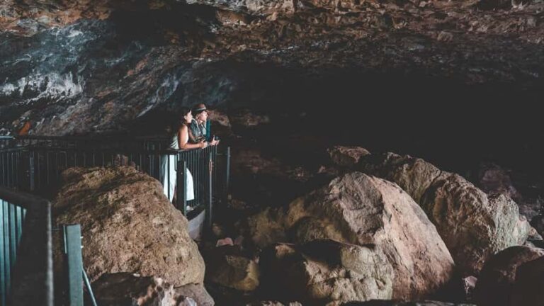 Brisbane: Rainforests, Waterfalls and Glow Worm Cave Tour - Transportation, Timing, and Value